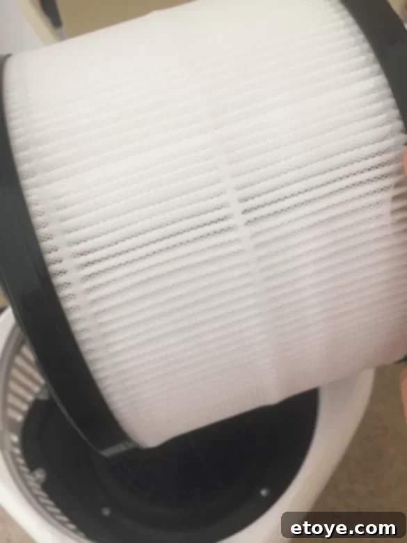 Okaysou AirMic4S filter replacement