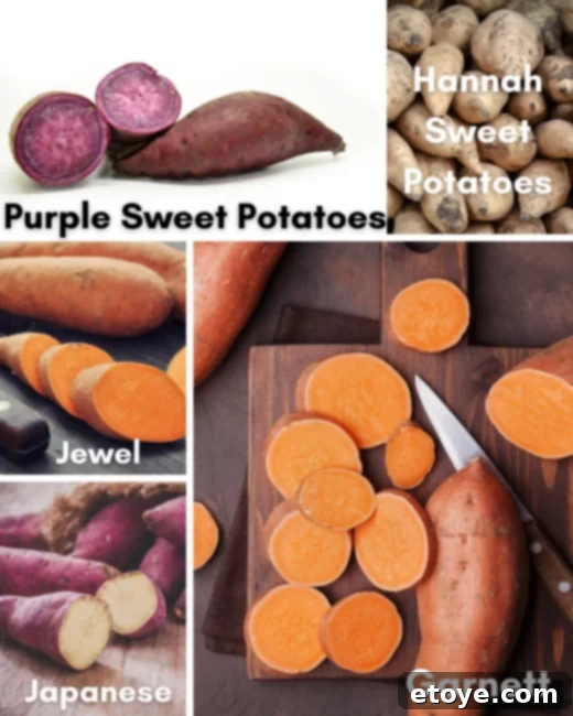 Five different types of sweet potatoes, showcasing their diverse colors and shapes.