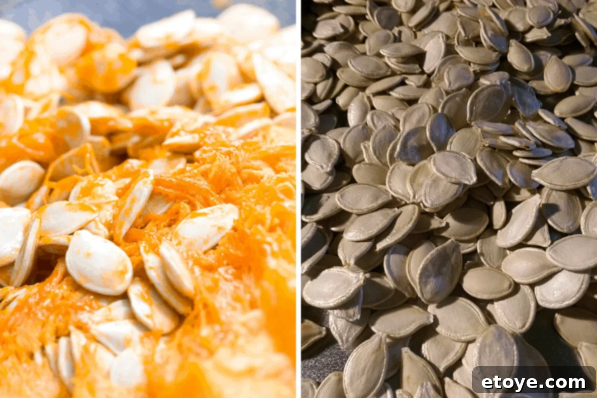 Crispy Pumpkin Seed Perfection 8 pumpkin seeds with shell on ready for roasting