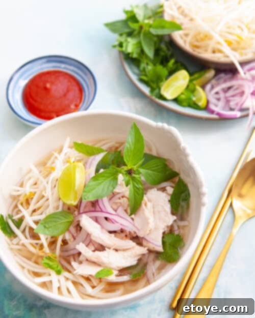 Savory Vietnamese Turkey Pho Using Leftover Bones 2 Vietnamese Turkey Pho made with leftover Thanksgiving turkey bones