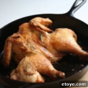 Lemony Artichoke Roast Chicken 2 Roast Split Chicken with Lemony Artichoke Sauce