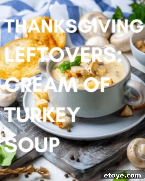 THANKSGIVING LEFTOVERS CREAM OF TURKEY SOUP