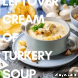 Leftover Cream of Turkey Soup