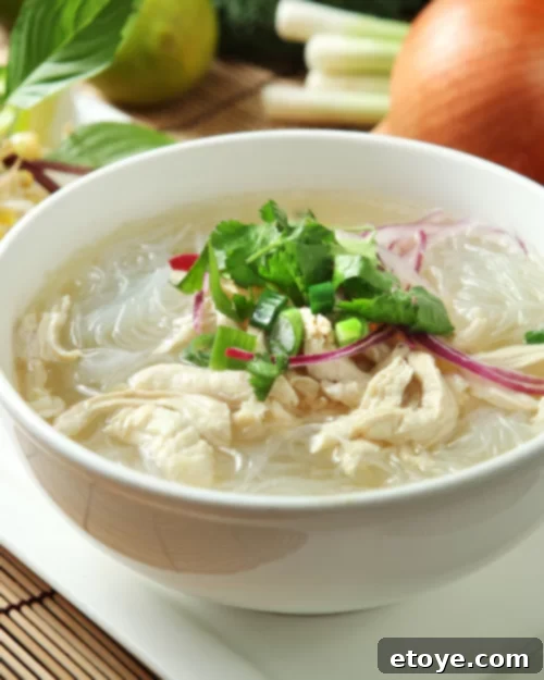 noodle soup in a white bowl with shredded chicken and herbs. 