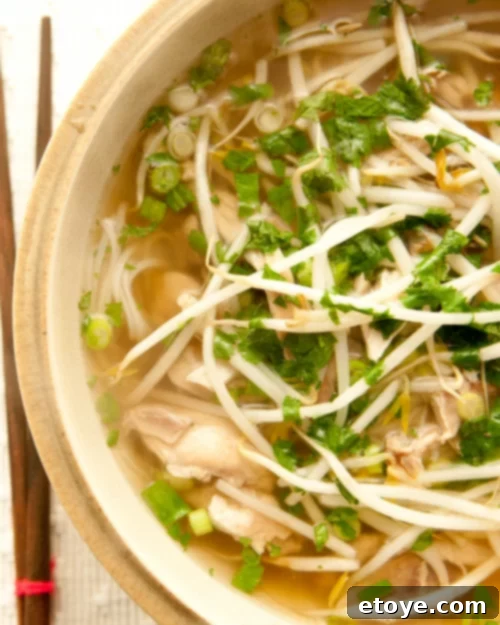 Up close photo of chicken pho topped with bean sprouts and herbs. 
