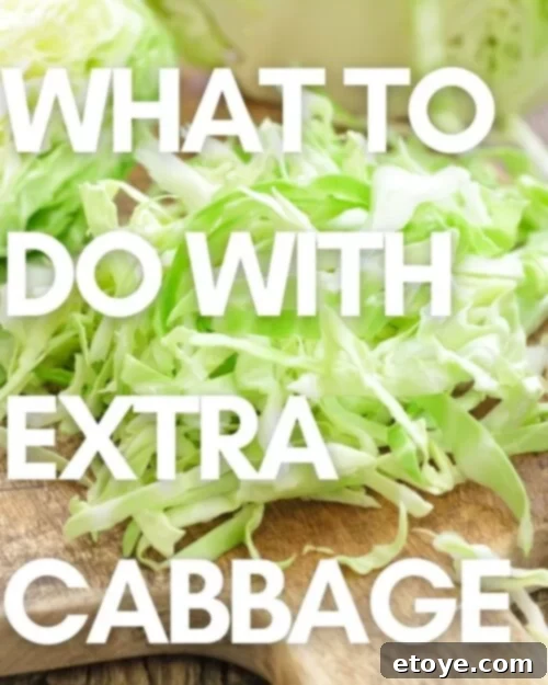 Creative Uses for Extra Cabbage 2 What to Do with Extra Cabbage