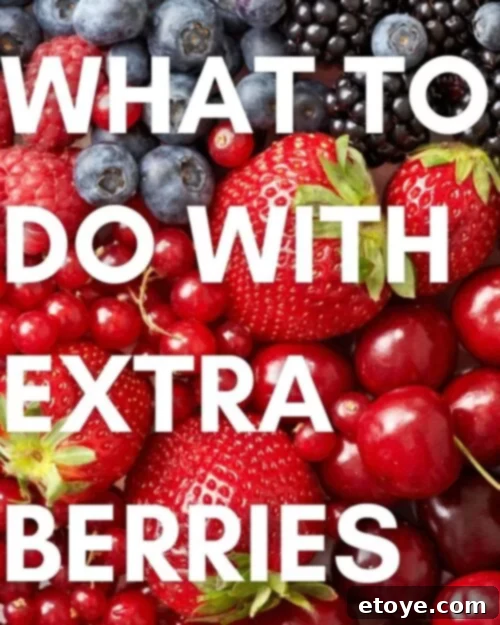 Creative Uses for Your Berry Bounty 2 Creative Ways to Use Up Extra Berries and Prevent Food Waste