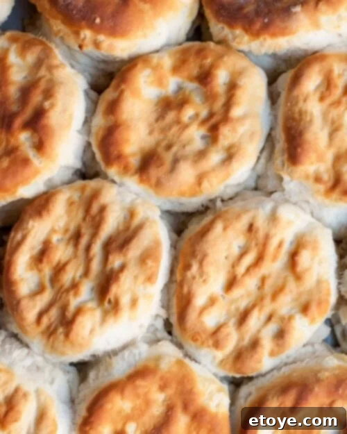 Making the Most of Sour Milk 8 Close-up shot of warm, flaky buttermilk biscuits