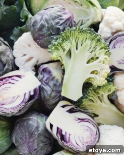 Hands preparing fresh broccoli florets, ready for proper storage or cooking