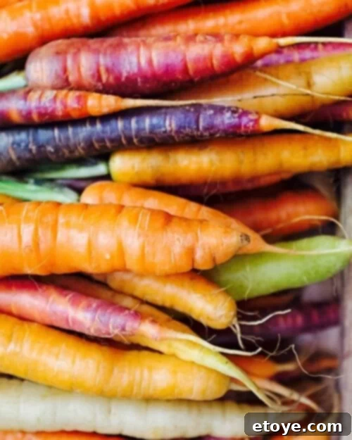 Freshly washed celery stalks, carrots, and cucumbers, ready for storage or consumption