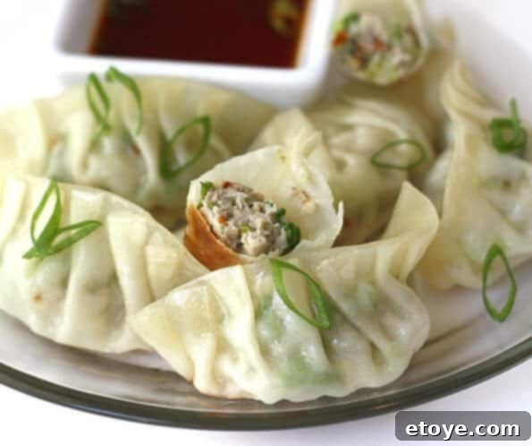 Classic Japanese Gyoza Recipe - Pan-Fried Dumplings with Crispy Bottoms