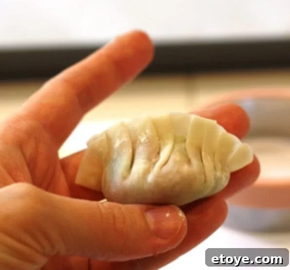 Finishing the Pleats on the Other Side of the Gyoza Wrapper