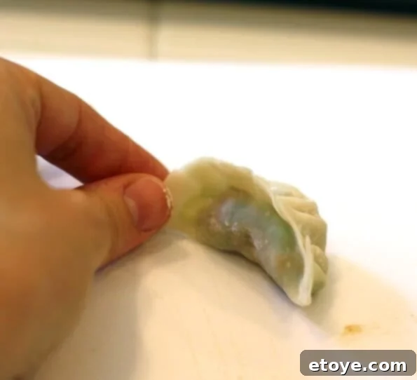 Completed Gyoza with Pleated Wrapper Edge Facing Up