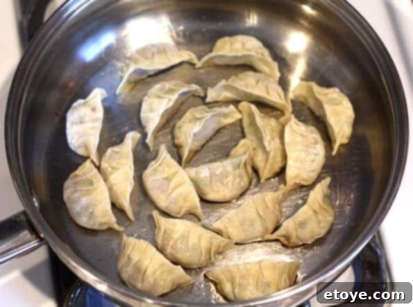 Pan-Frying Gyoza, Flat Side Down for a Crispy Bottom