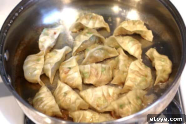 Steaming Gyoza to Cook the Filling and Soften the Wrappers