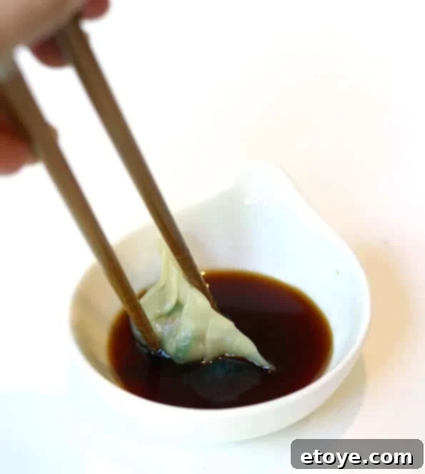 Delicious Homemade Gyoza Dipping Sauce Ready to Serve