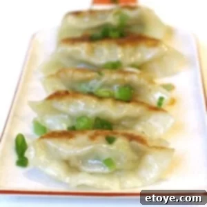 Platter of golden brown gyoza ready to serve