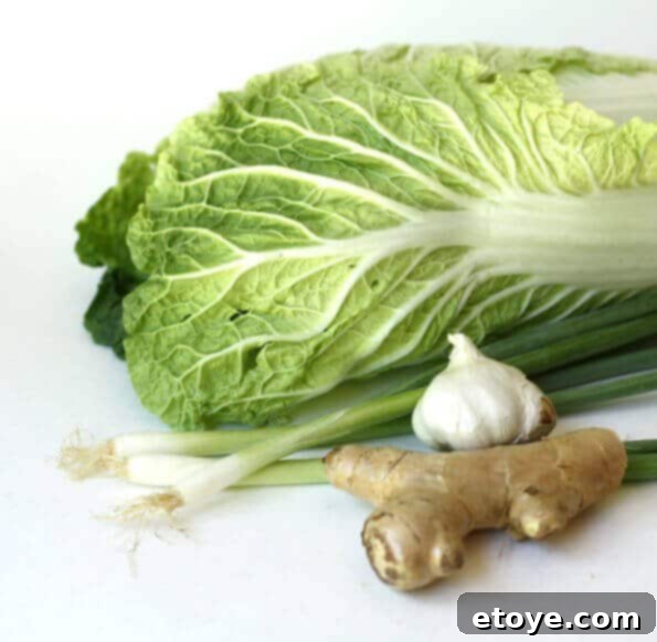 Gyoza Recipe - Essential Ingredients for Homemade Japanese Dumplings