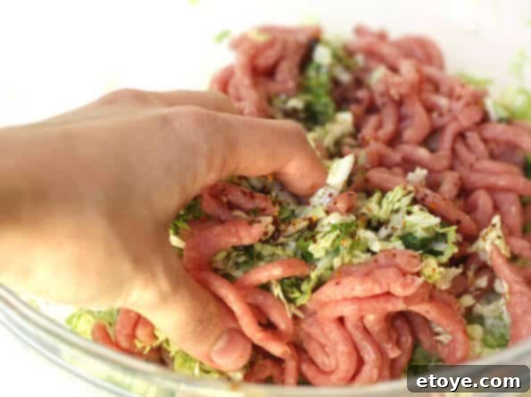 Mixing Gyoza Filling Ingredients by Hand for Even Distribution
