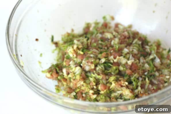 Perfect Gyoza Filling Mixture Ready for Wrapping