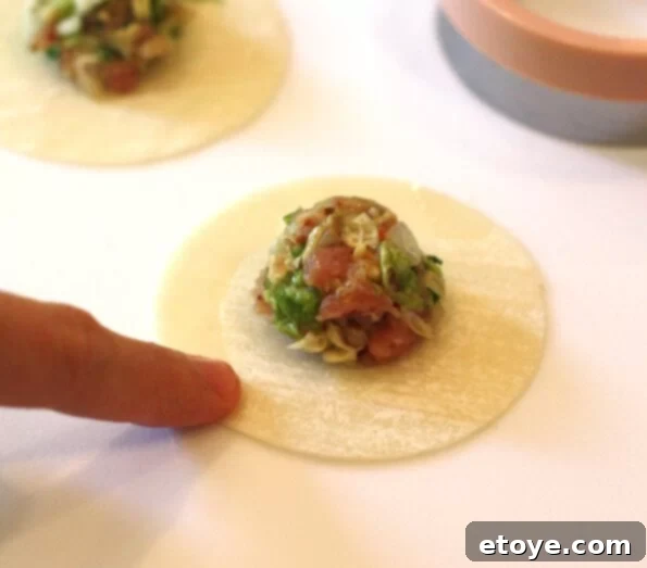 Placing Gyoza Meat Mixture in the Center of the Wrapper