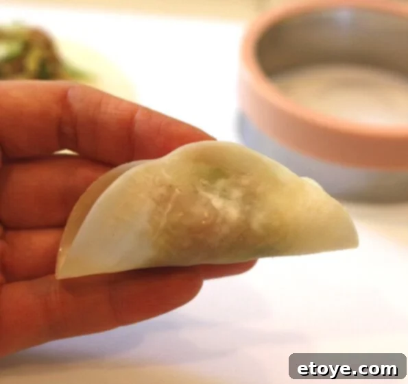 Folding the Gyoza Wrapper in Half Over the Filling
