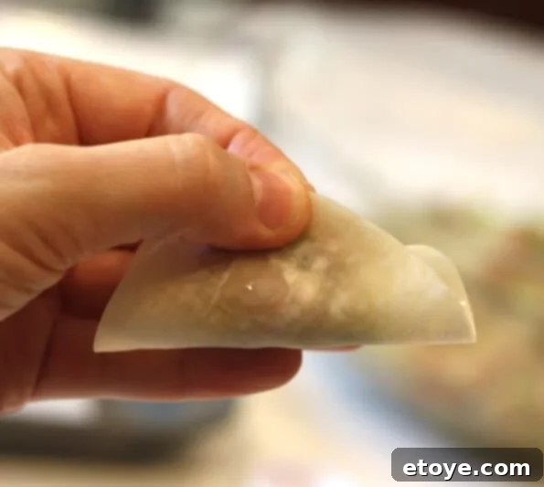 Pinching the Folded Gyoza Wrapper in the Center
