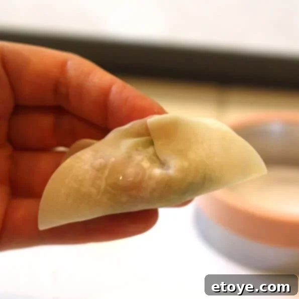 Creating the First Pleats in a Gyoza Wrapper