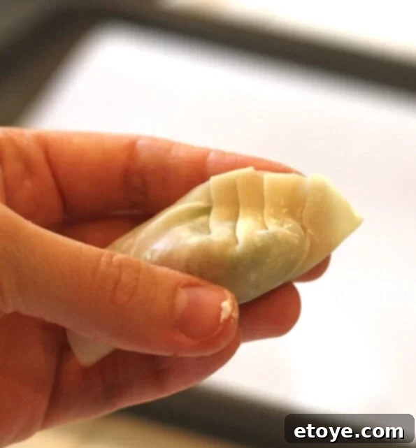 Continuing to Pleat the Gyoza Wrapper on One Side