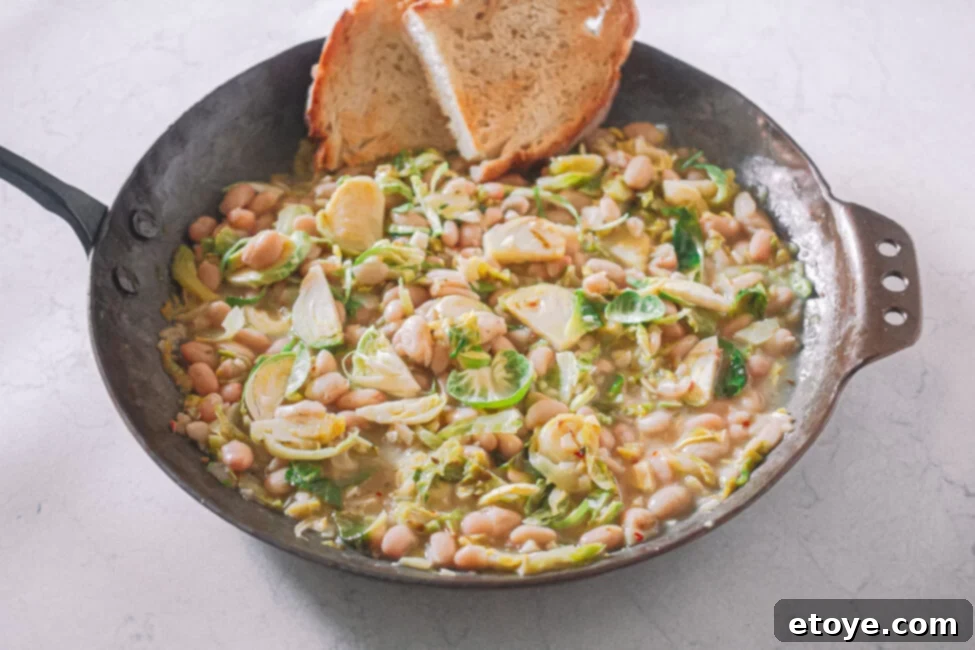 Farmbox Direct: Full Review and Exclusive Giveaway 3 Freshly picked organic vegetables beautifully arranged in a Farmbox Direct box