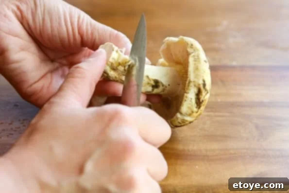 matsutake-dobin-mushi-mushroom-recipe-002 Cleaned Matsutake mushrooms with trimmed stems, ready for the Dobin Mushi recipe