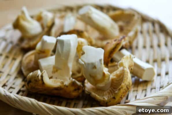 matsutake-dobin-mushi-mushroom-recipe-003 Array of ingredients for Dobin Mushi, including cleaned Matsutake, fish, and carrots