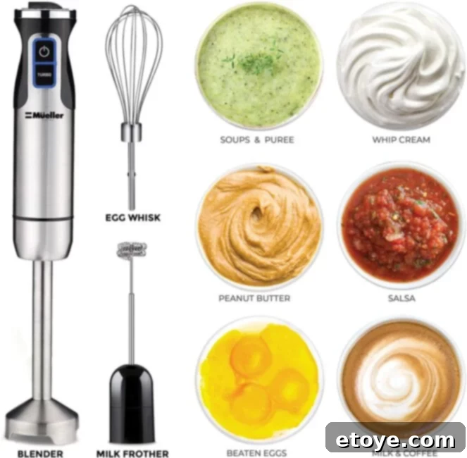 Win Instant Kitchen Gadgets 6 Speed immersion multi-purpose hand blender with a whisk attachment