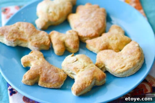 Freshly baked round buttermilk biscuits on a wire rack to cool