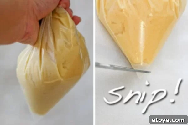 Pate a Choux Recipe - put dough in bag