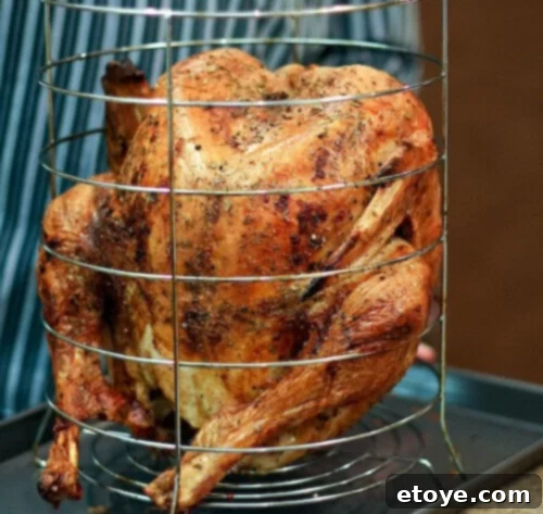 Close-up of the perfectly cooked turkey from the infrared fryer