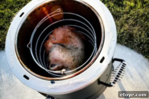 Turkey in infrared fryer, still pale after 70 minutes