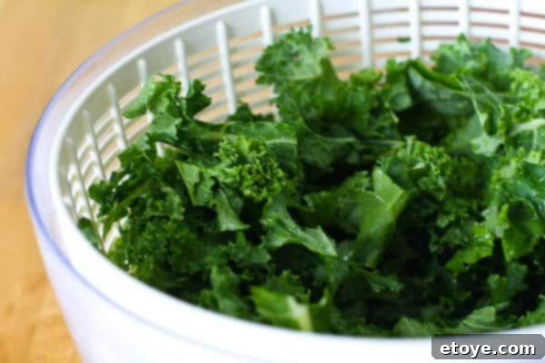 Kale leaves drying in a salad spinner, a crucial step for crispy kale chips
