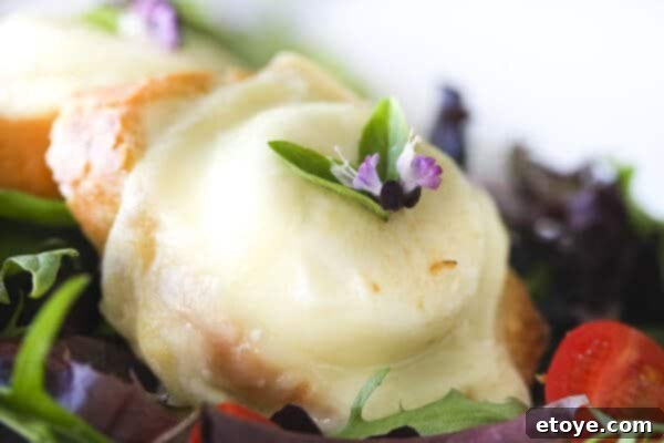 A beautifully presented salad featuring fresh greens, tomatoes, and golden-brown warm goat cheese on baguette slices, garnished with a purple Thai basil flower.