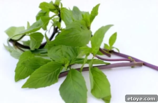 Siam's Aromatic Herb 1 img 7138 1