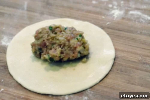 Pan Fried Pork and Shrimp Potstickers Recipe - pleating