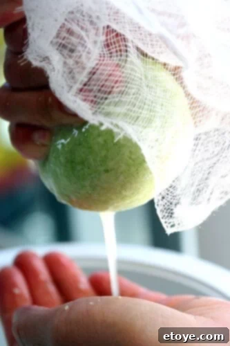 Pan Fried Pork and Shrimp Potstickers Recipe - squeeze out water