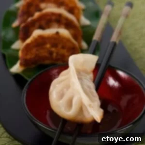Pan Fried Pork and Shrimp Potstickers Recipe