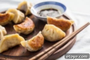 how to make potsticker dumpling wrappers-5389