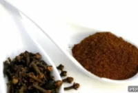 Cloves: Ancient Spice, Modern Wonders
