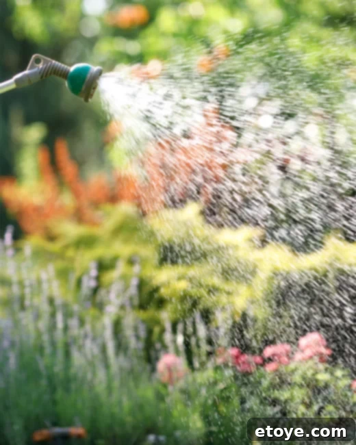 Eco Summer Instant Wins 4 Conserving Water for a Sustainable Future