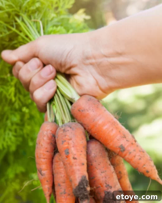 Eco Summer Instant Wins 5 Gardening for Fresh Produce and Eco-Living