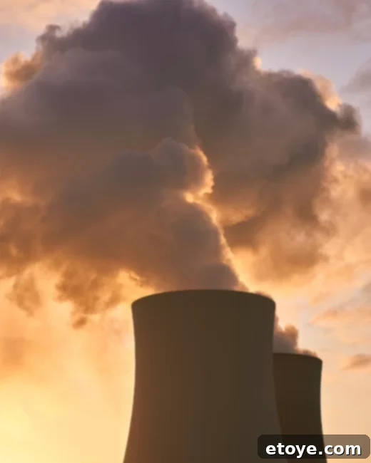 Eco Summer Instant Wins 6 Supporting Small Businesses for Community and Planet