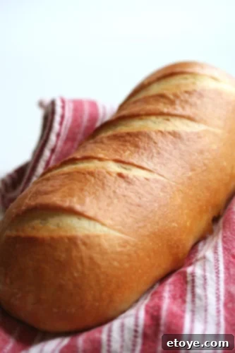 French Bread French Bread