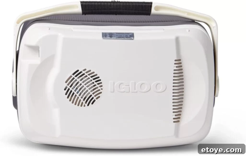 People enjoying a picnic with the Igloo Iceless Cooler, highlighting its use in outdoor settings.